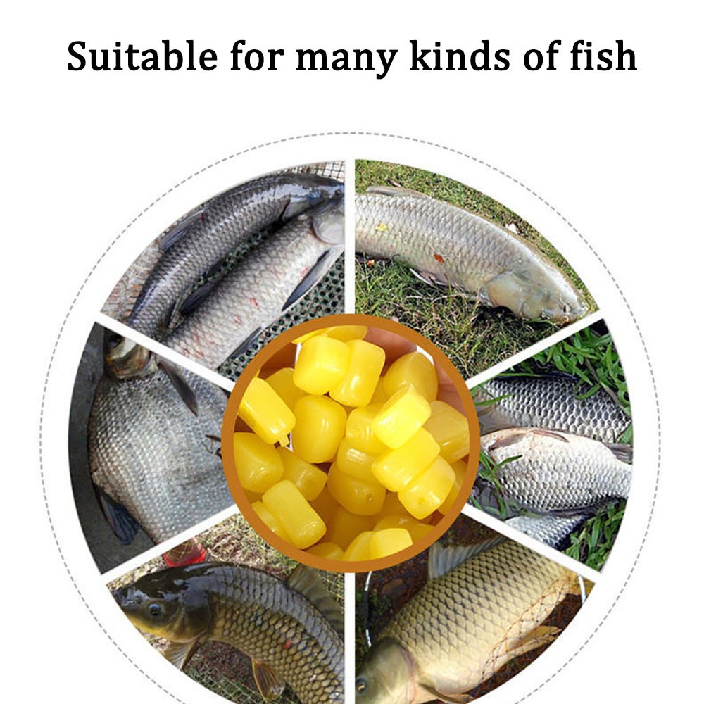 100pcs 실리콘 옥수수 냄새 부드러운 미끼 부동 물 - Fishing Lure Topwater 리뷰 및 가격